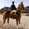 hassanabdullah7455