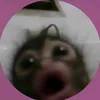 iiris_nii_joo