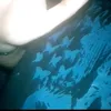 jobruh6