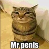 mr.penis31