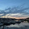 dan_coo227