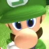 luigi11122244