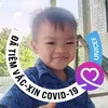 phmlim037