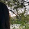 lu_melendez_