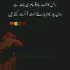 shahid_ch37