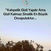 canhayal963