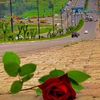 user7199081531145