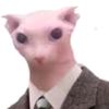 bongybingus
