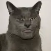 rakahamdan035