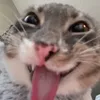 wiicfyibynimtibtftcywsg