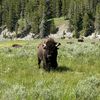 mountainmeadows307