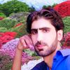 imtiaz.hussain994