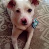 daisygirl9678
