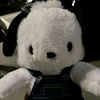 lilyys12n