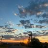 harrison_k29