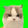 ydk4483