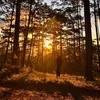 fromotherplanet_
