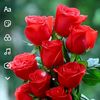 ezzedine.ali88