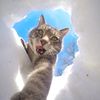 h4nzzrawr
