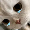 .kcjh_