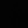 zerr5011