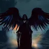 metalladyx