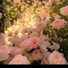 user88806883616326