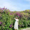 lan.thanh038