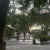 eron118827
