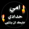 ahmedhussein8149