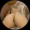 _____8......a.f___