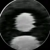 ali.naser.9