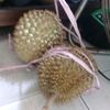 nakuladewa395