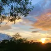 nguyntuananh0046