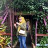 wiwisumartini426