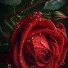 user7110579753342
