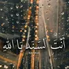 sar_37f