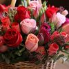 naile.mesedibeyov