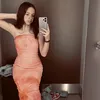 vaness_pokorna