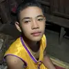 noy36333