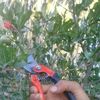 faresfares66168