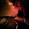 rayan212312