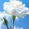 user1207630067847