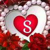 user84116587sh