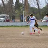 balta_2013_2