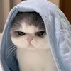 mimiwwajee