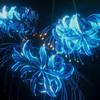 blue.spider_lily