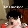 gabrielcondori428