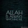 mr.ahmad46090