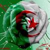 wwwsamir2485